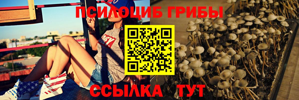 Галлюциногенные грибы Psilocybine cubensis  Псилоцибиновые грибы мухоморы  Вход с VPN  купить  сайты  Копейск 