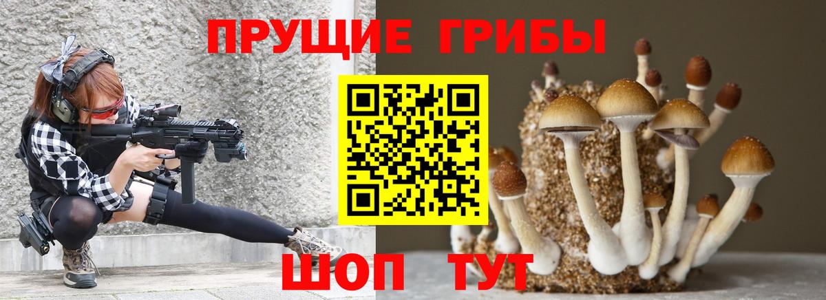 Галлюциногенные грибы прущие грибы Копейск